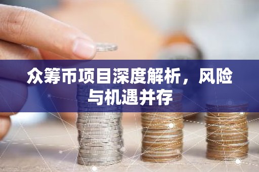 众筹币项目深度解析，风险与机遇并存