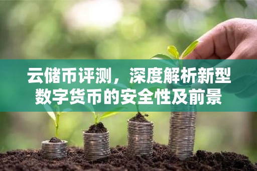 云储币评测，深度解析新型数字货币的安全性及前景