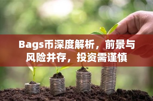Bags币深度解析，前景与风险并存，投资需谨慎