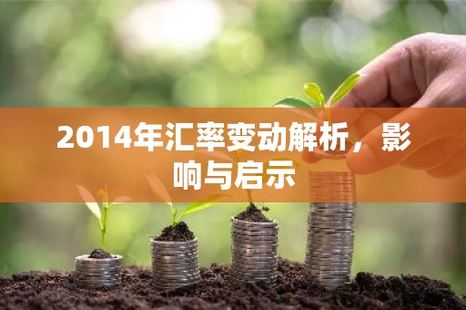 2014年汇率变动解析，影响与启示