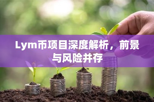 Lym币项目深度解析，前景与风险并存