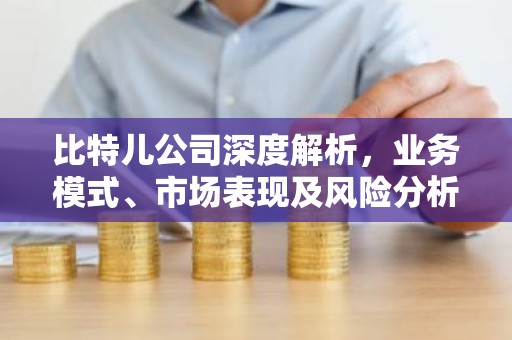 比特儿公司深度解析，业务模式、市场表现及风险分析