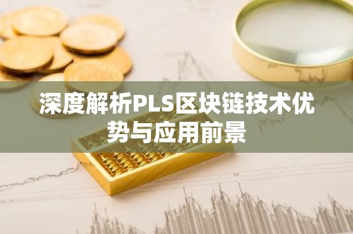 深度解析PLS区块链技术优势与应用前景