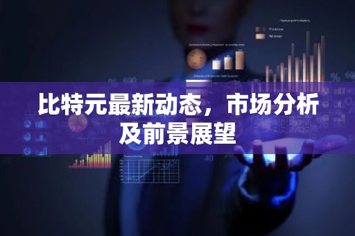 比特元最新动态，市场分析及前景展望