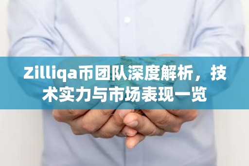 Zilliqa币团队深度解析，技术实力与市场表现一览