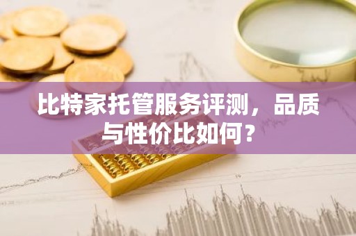 比特家托管服务评测，品质与性价比如何？