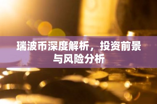 瑞波币深度解析，投资前景与风险分析