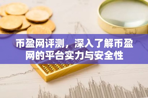 币盈网评测，深入了解币盈网的平台实力与安全性