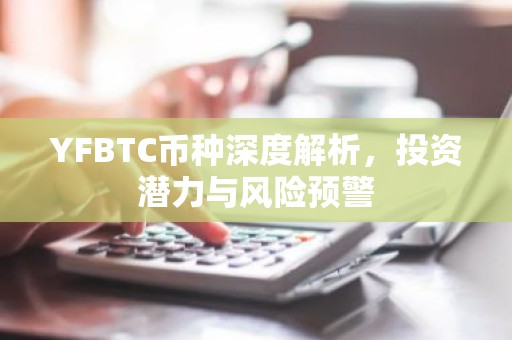 YFBTC币种深度解析，投资潜力与风险预警