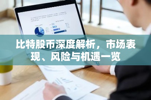 比特股币深度解析，市场表现、风险与机遇一览