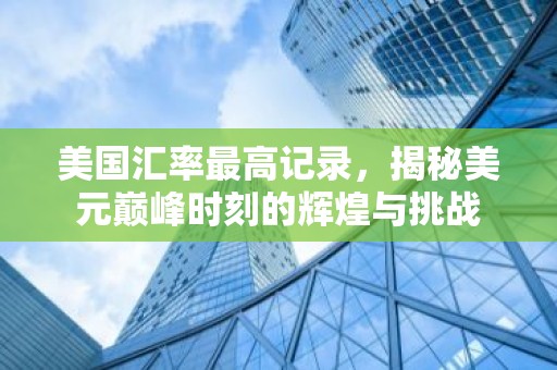 美国汇率最高记录，揭秘美元巅峰时刻的辉煌与挑战