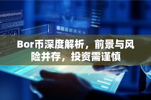 Bor币深度解析，前景与风险并存，投资需谨慎