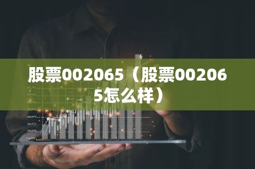 股票002065（股票002065怎么样）