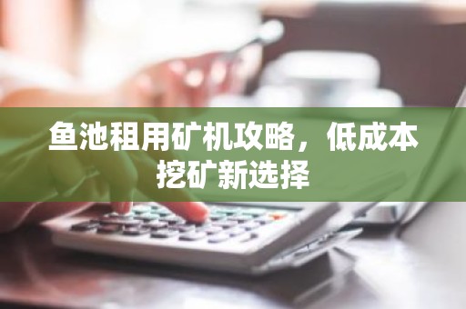 鱼池租用矿机攻略，低成本挖矿新选择