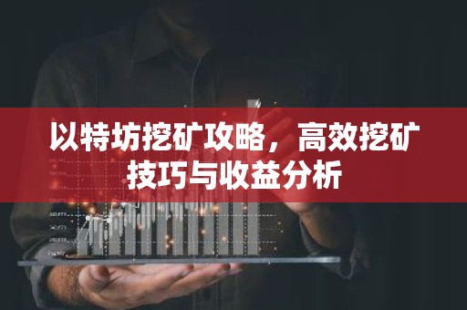 以特坊挖矿攻略，高效挖矿技巧与收益分析