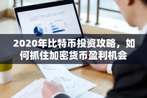 2020年比特币投资攻略，如何抓住加密货币盈利机会