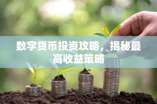 数字货币投资攻略，揭秘最高收益策略