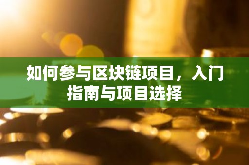 如何参与区块链项目，入门指南与项目选择