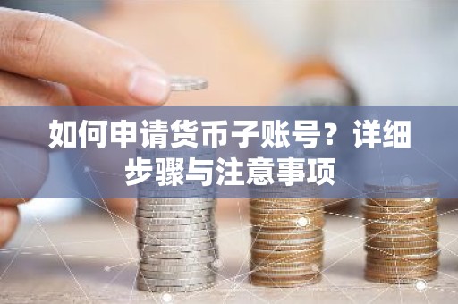 如何申请货币子账号？详细步骤与注意事项