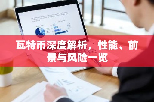 瓦特币深度解析，性能、前景与风险一览