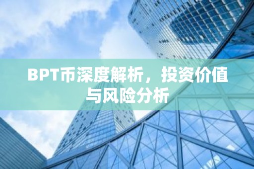 BPT币深度解析，投资价值与风险分析