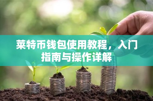 莱特币钱包使用教程，入门指南与操作详解