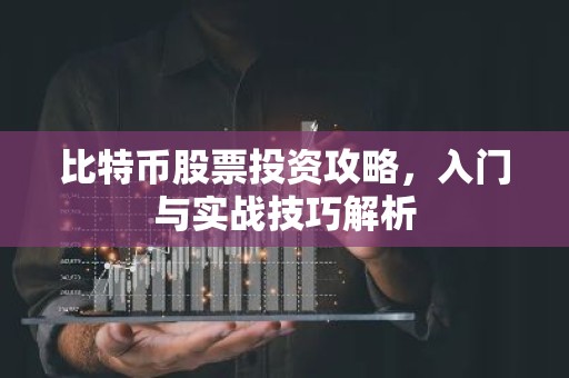 比特币股票投资攻略，入门与实战技巧解析