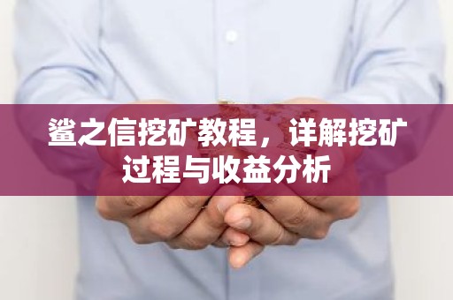 鲨之信挖矿教程，详解挖矿过程与收益分析