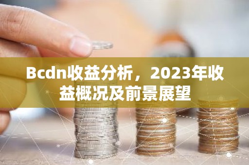 Bcdn收益分析，2023年收益概况及前景展望