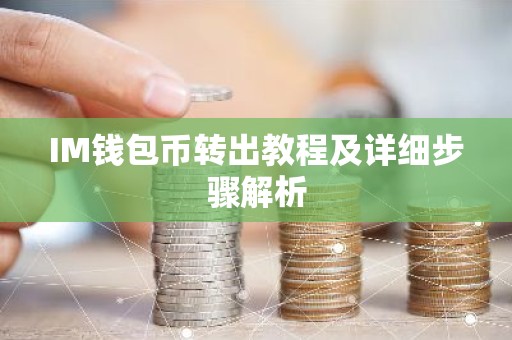 IM钱包币转出教程及详细步骤解析