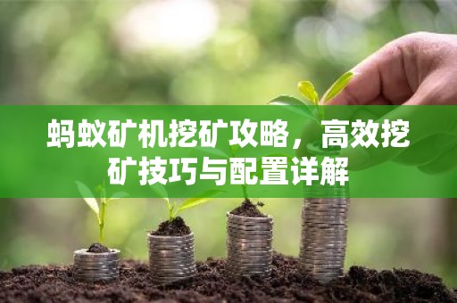 蚂蚁矿机挖矿攻略，高效挖矿技巧与配置详解
