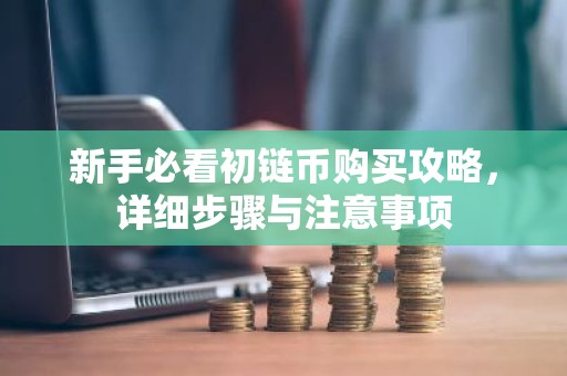 新手必看初链币购买攻略，详细步骤与注意事项