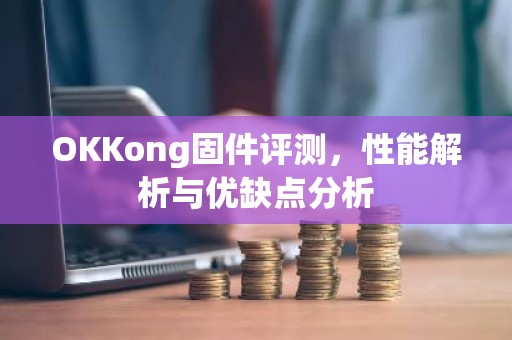 OKKong固件评测，性能解析与优缺点分析