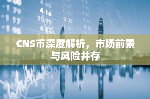 CNS币深度解析，市场前景与风险并存