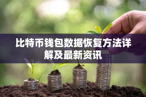 比特币钱包数据恢复方法详解及最新资讯