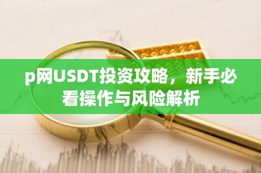 p网USDT投资攻略，新手必看操作与风险解析