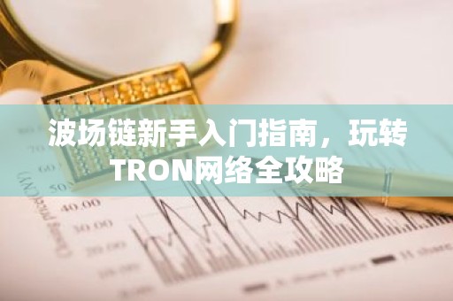 波场链新手入门指南，玩转TRON网络全攻略