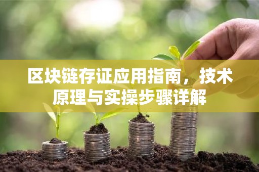 区块链存证应用指南，技术原理与实操步骤详解
