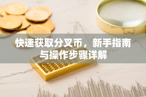 快速获取分叉币，新手指南与操作步骤详解