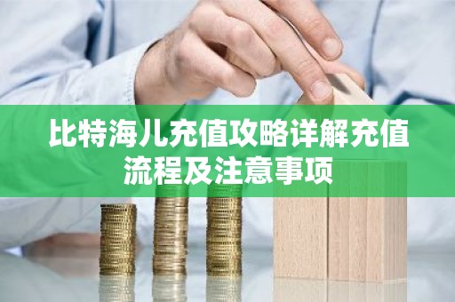 比特海儿充值攻略详解充值流程及注意事项