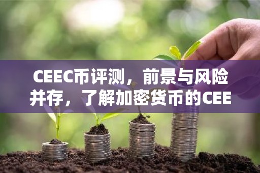 CEEC币评测，前景与风险并存，了解加密货币的CEEC