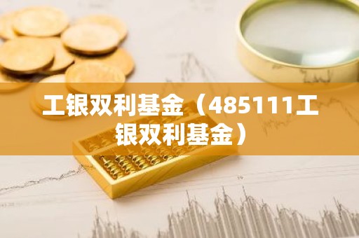 工银双利基金（485111工银双利基金）