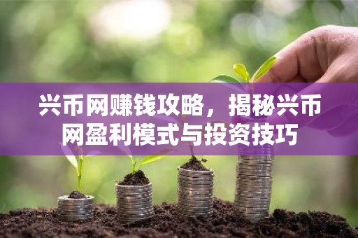 兴币网赚钱攻略，揭秘兴币网盈利模式与投资技巧