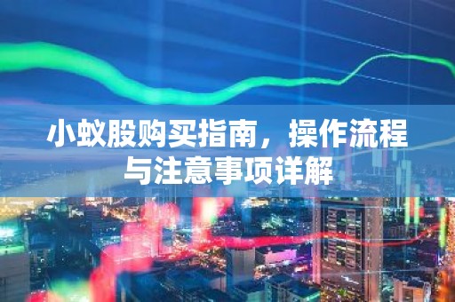 小蚁股购买指南，操作流程与注意事项详解