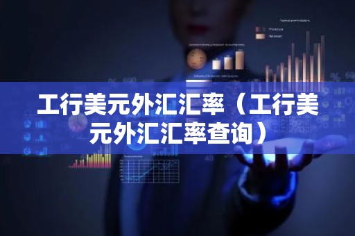 工行美元外汇汇率（工行美元外汇汇率查询）