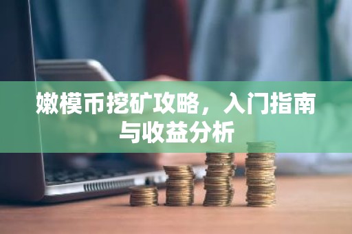 嫩模币挖矿攻略，入门指南与收益分析