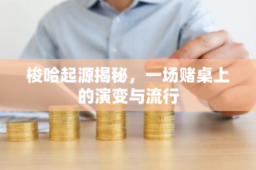 梭哈起源揭秘，一场赌桌上的演变与流行