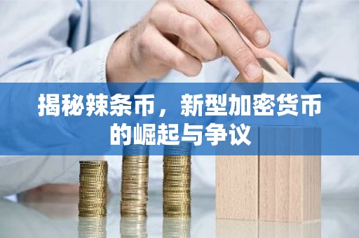 揭秘辣条币，新型加密货币的崛起与争议