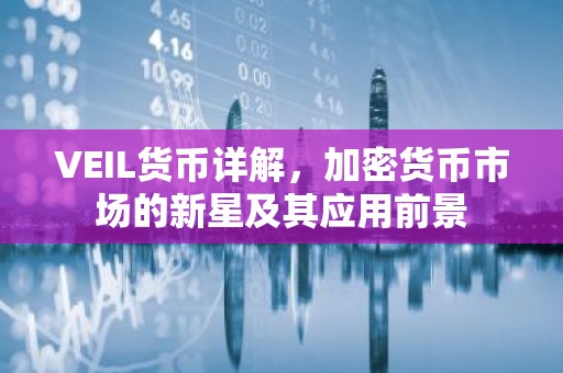 VEIL货币详解，加密货币市场的新星及其应用前景