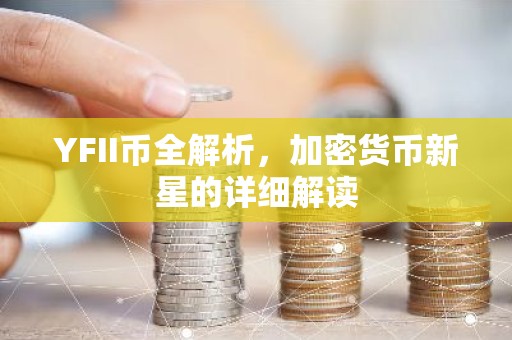 YFII币全解析，加密货币新星的详细解读